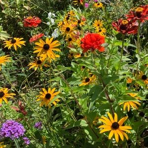 Meet your Posher, Jaicee